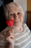 Fernande Rose