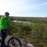 Anthony James (Tony) Farrell