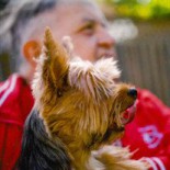 Robert Brian Hustins