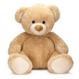 James Alexander Kalache