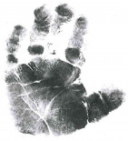 Isabelle Rose Robinson