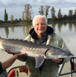 Henry (Hank) Heinrichs