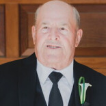 Domenico Villella