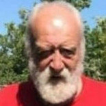 Dewey Willis Studivan