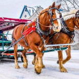 Keith Charles Dennis