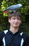 Christopher Nicholas (Chris) Hendriksen