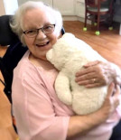 Cecile Teresa Holland