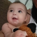 Jade Desjardins Pelletier