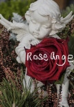 Rose-Ange Gilbert