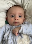 Stone Alexander Sherman-Breen