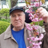 Cody Reginald Kenneally