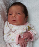 Bébé Haley Rodrigue