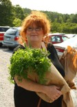 Diane McConnell