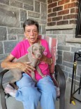 June Beaven