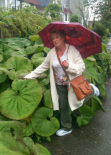 Anne (Judy) Poirier