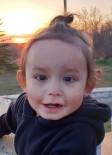 Ryder Distan Enzley Moosemay