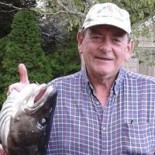 David Michael Taylor