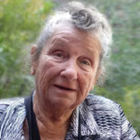 Viola Anderson Johnson