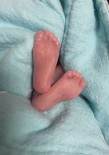 Baby Liam Gosselin