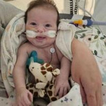 Lainey Susan Rehburg