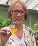 Donna Pauline Williams