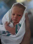 Mason William Davvid Vanderploeg