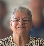 Diane Boyer Carrière