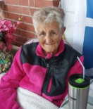 Williamina Sim Armstrong