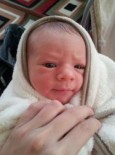 Gavin Joseph Mcgrath