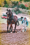 Roland (Roly) Carter