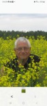 Raynald Morin