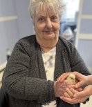Dianne Julia Campbell
