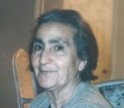 Rosa Aloi