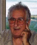Vitomir Stegnajic