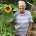 Freda Laura Comber
