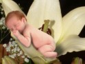 Lillian Robin Raynes