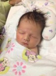 Reese Kathryn Bursey