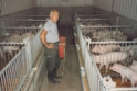 Derk Stam