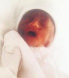 Athena Anne Kathleen Hill