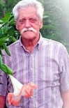 Walter Lachance