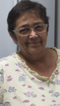 Susan Anne Civiero