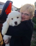 Shirley Anne Helgason