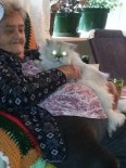 Marjorie Bernetta Arsenault