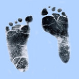 Phoenix Constant McAdam