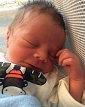 Xander Roose