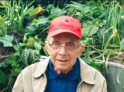 Cornelius Bernardus Van Dorp
