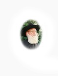 Fredrick William McElree