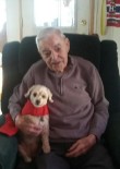 Arnold Elton Goodrich