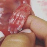 Charlotte Carolyn Knox