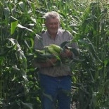 Charles Otto Denison